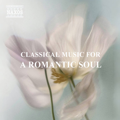 超级级碰碰费视频免
