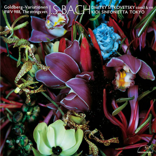 超级级碰碰费视频免
